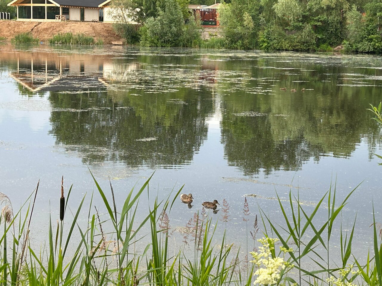 Гостиница Дилижанс Чайковский-164