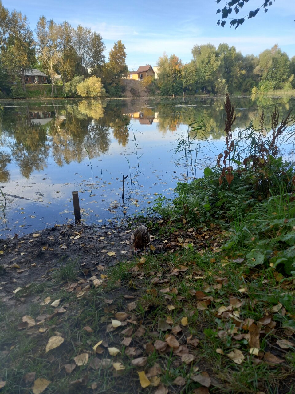 Гостиница Дилижанс Чайковский-31