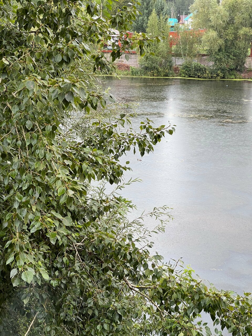 Гостиница Дилижанс Чайковский-98