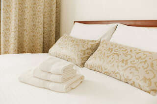 Гостиница Дилижанс Чайковский Двухместный номер с 1 кроватью-3